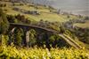 Old Val di Fiemme railway track