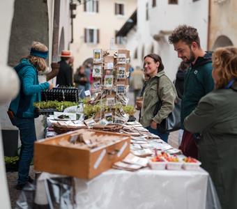 tgcastelfeder-bioherbstfest24-monsorno-5004